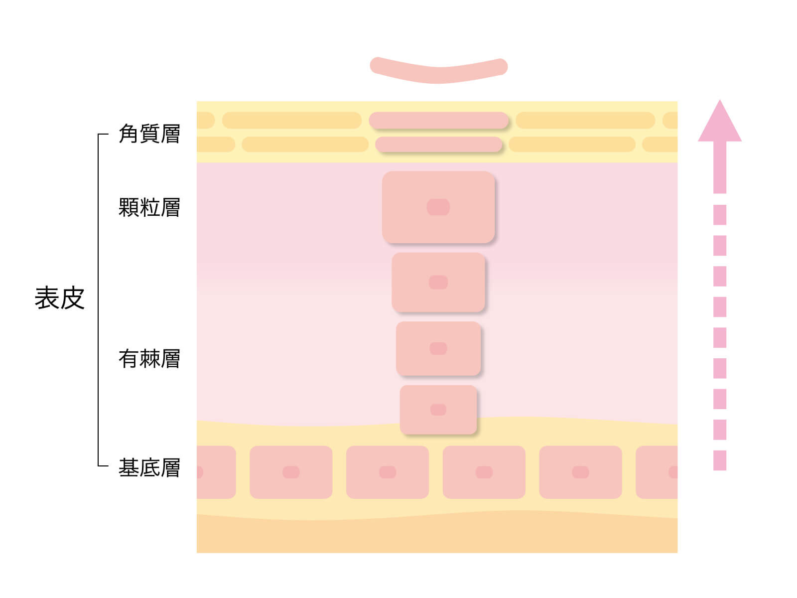 肌の保湿の効果とは しっとりした綺麗な肌を目指す保湿方法5選紹介 メンズ美容塾 By Bulk Homme